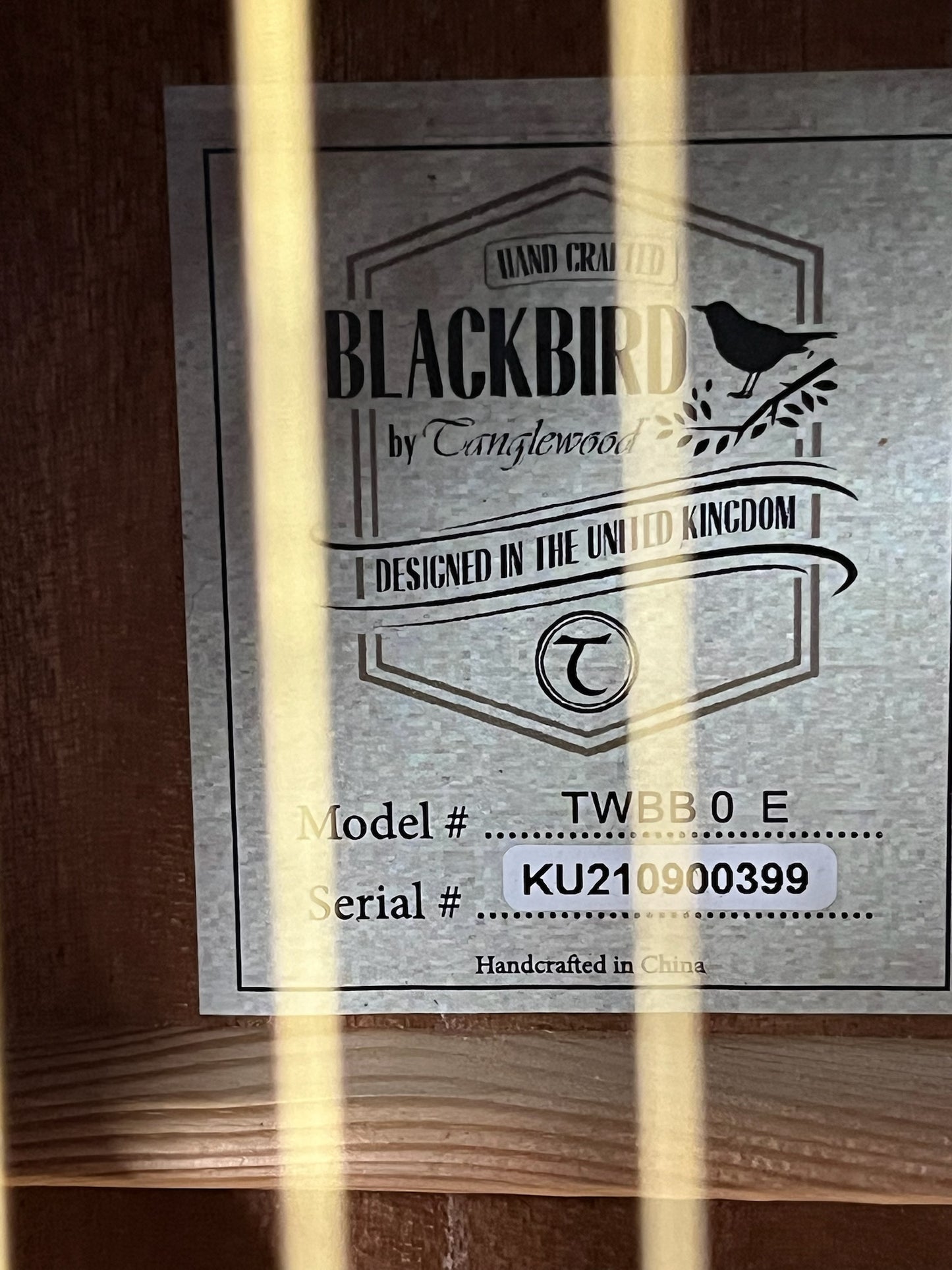 Tanglewood Blackbird - Open Pore Black (#KE210900399)