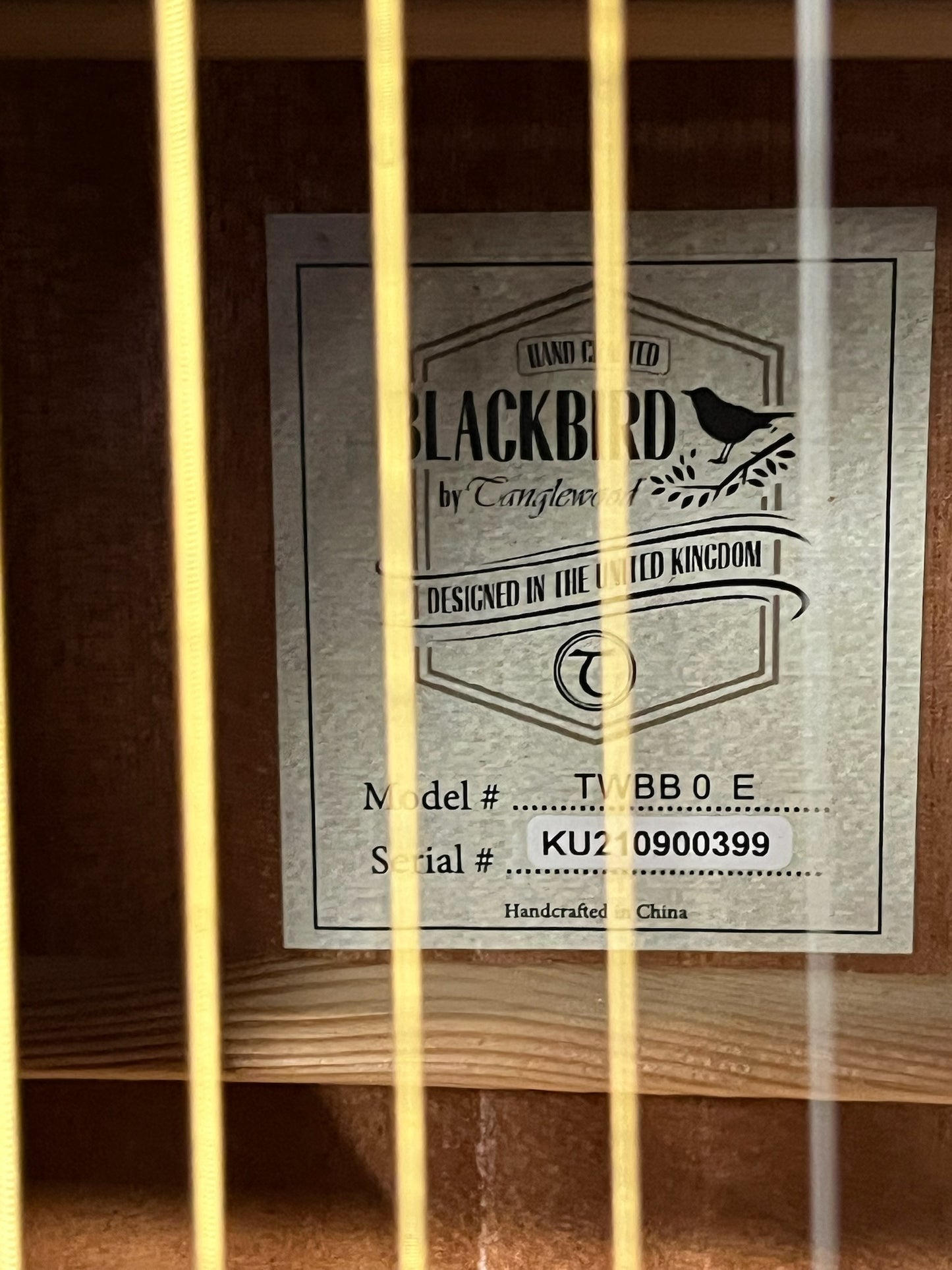 Tanglewood Blackbird - Open Pore Black (#KE210900399)