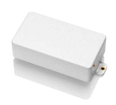 EMG 81