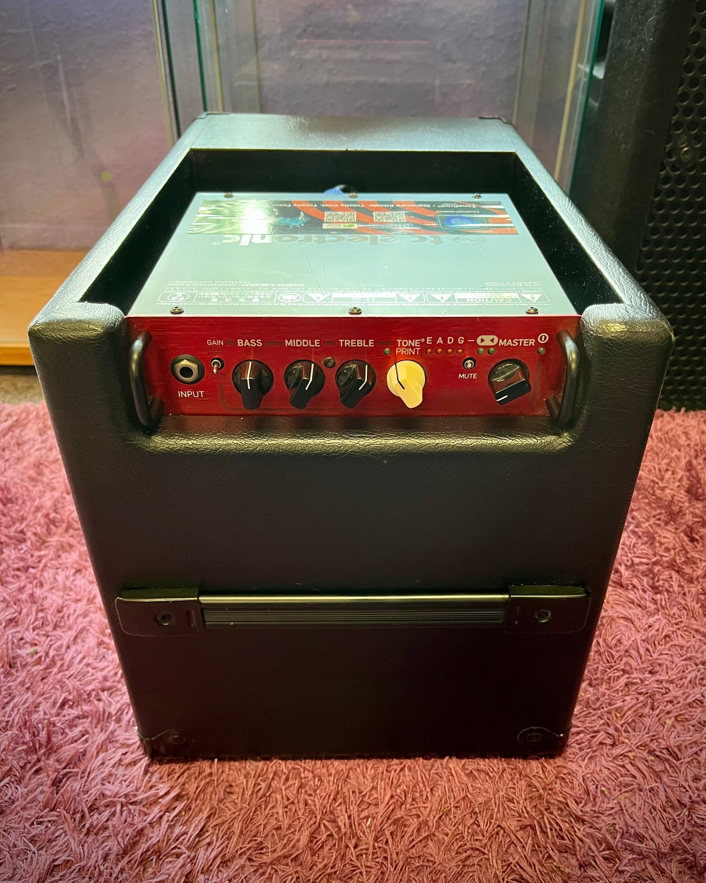 TC Electronic BG250 208 Bass Combo