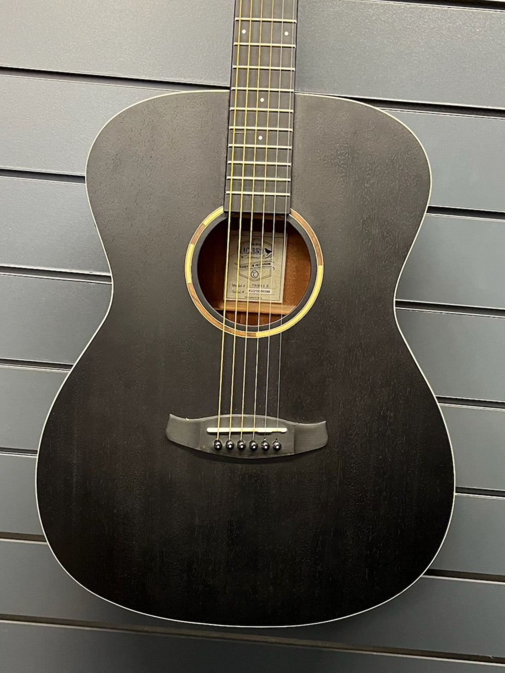 Tanglewood Blackbird - Open Pore Black (#KE210900399)