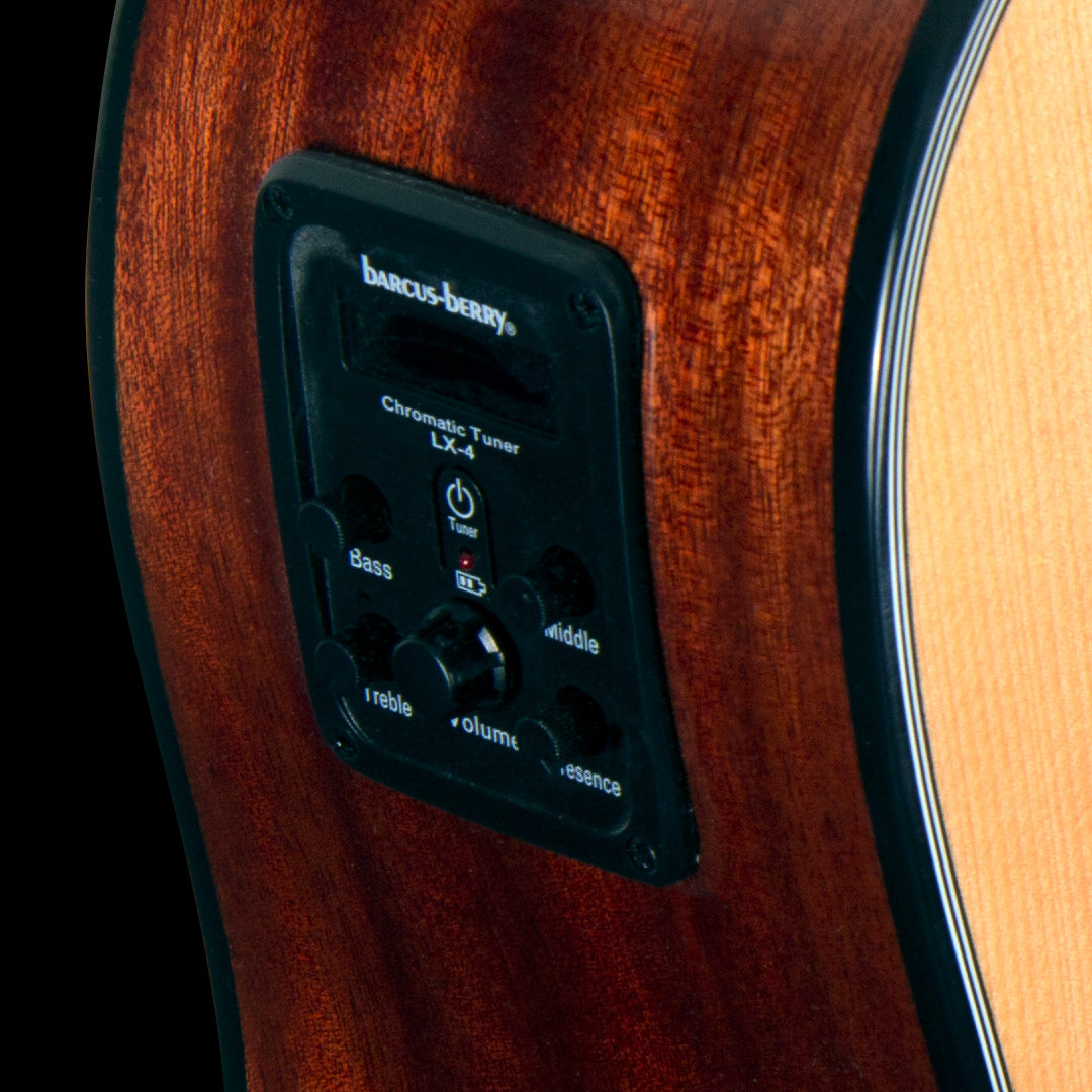 Washburn D5CE Dreadnought - Natural