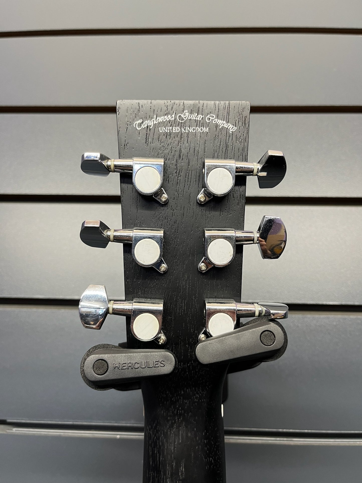Tanglewood Blackbird - Open Pore Black (#KE210900399)