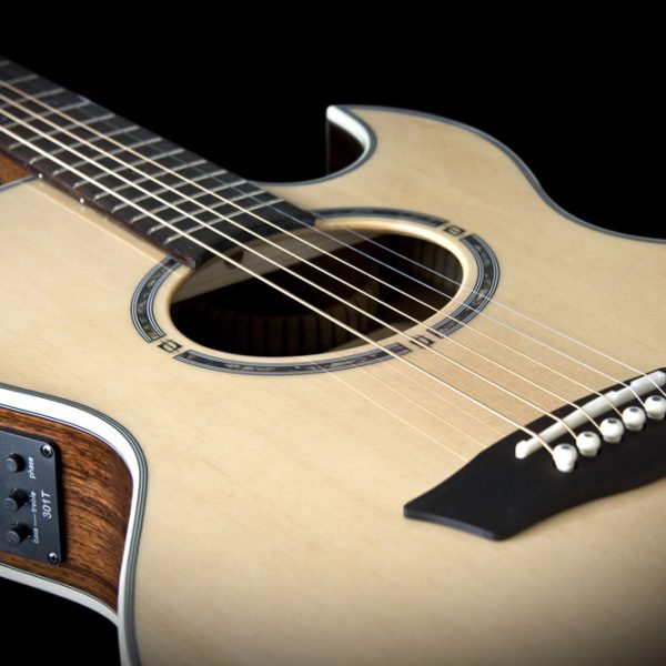 Washburn EA20S Nuno Bettencourt Festival Cutaway - Natural