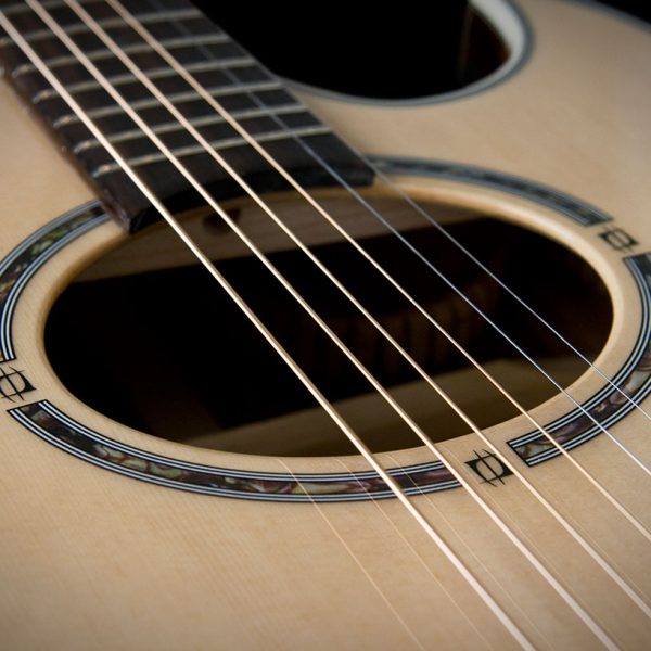 Washburn EA20S Nuno Bettencourt Festival Series Cutaway