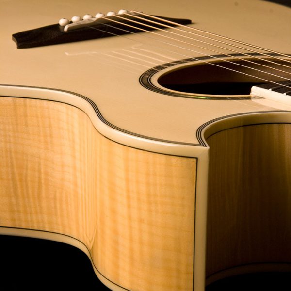 Washburn EA20 Festival Series Cutaway - Natural