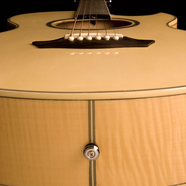 Washburn EA20 Festival Series Cutaway - Natural