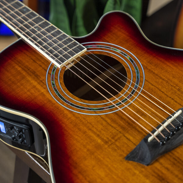 Washburn EA55G Festival Series Mini Jumbo Cutaway - Koa Burst