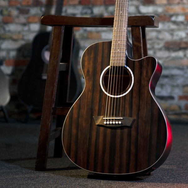 Washburn Ebony ACE Deep Forest Grand Auditorium - Natural Matte