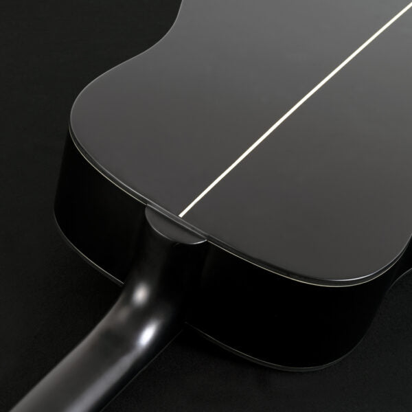 Washburn EBONY D Deep Forest Dreadnought - Natural Matte