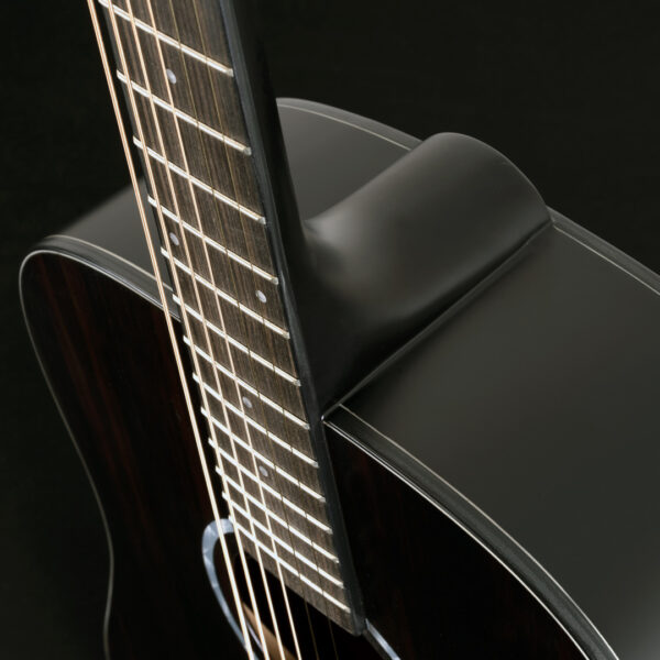 Washburn EBONY D Deep Forest Dreadnought - Natural Matte
