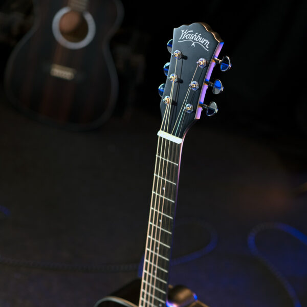 Washburn EBONY D Deep Forest Dreadnought - Natural Matte