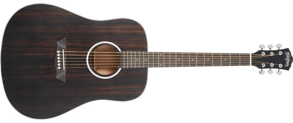 Washburn EBONY D Deep Forest Dreadnought - Natural Matte