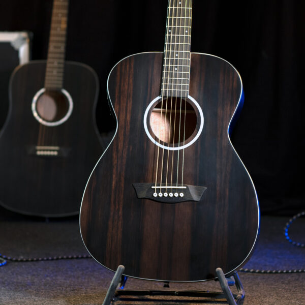 Washburn EBONY FE Deep Forest Folk - Natural Matte