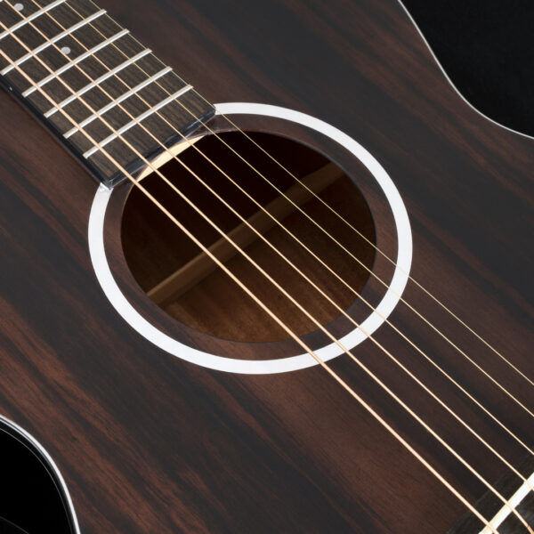 Washburn EBONY FE Deep Forest Folk - Natural Matte