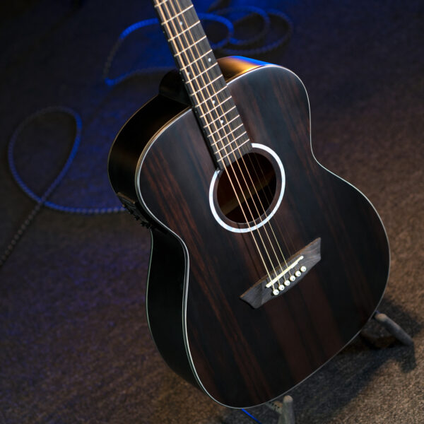 Washburn EBONY FE Deep Forest Folk - Natural Matte