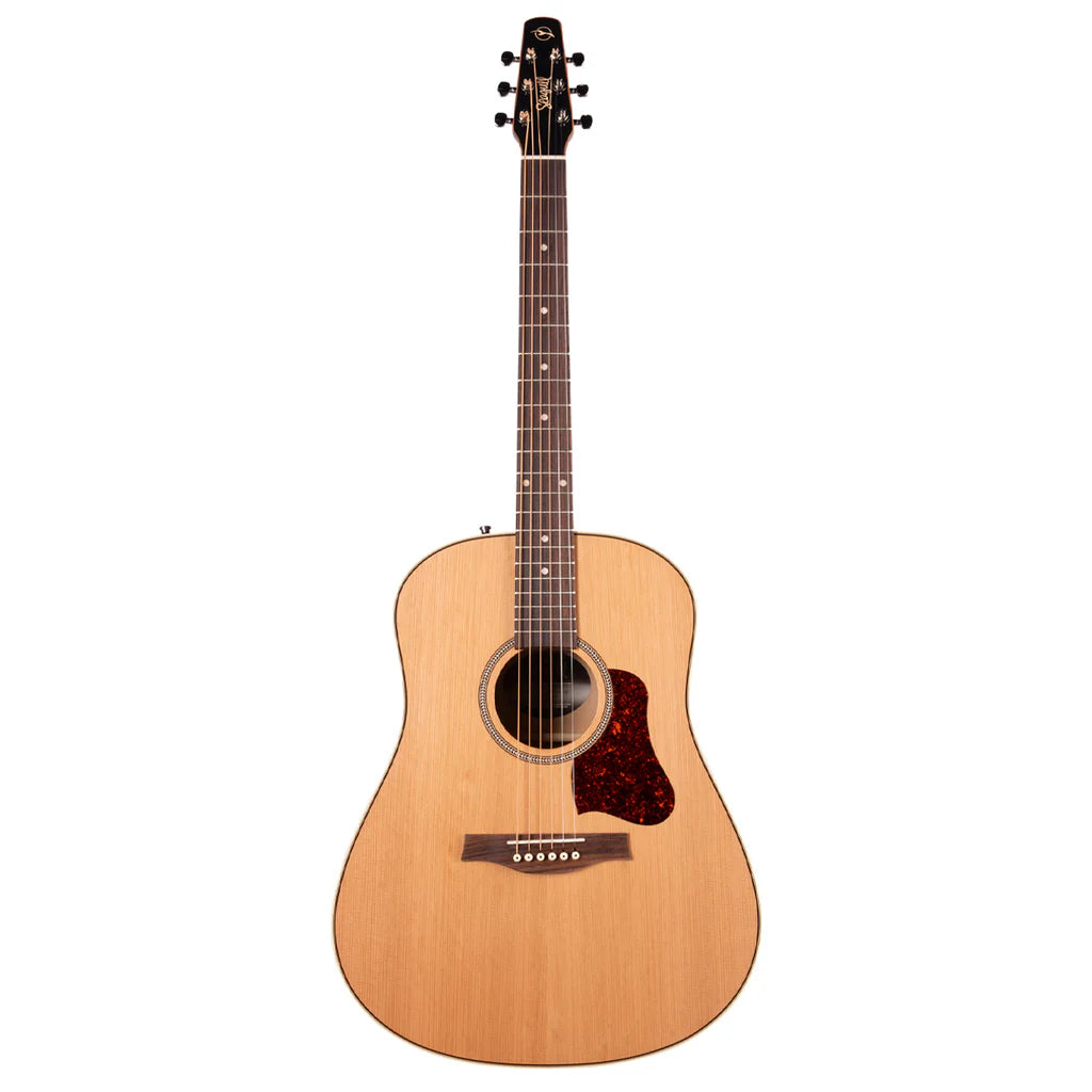Seagull Coastline Momentum Electro-Acoustic Guitar ~ HG