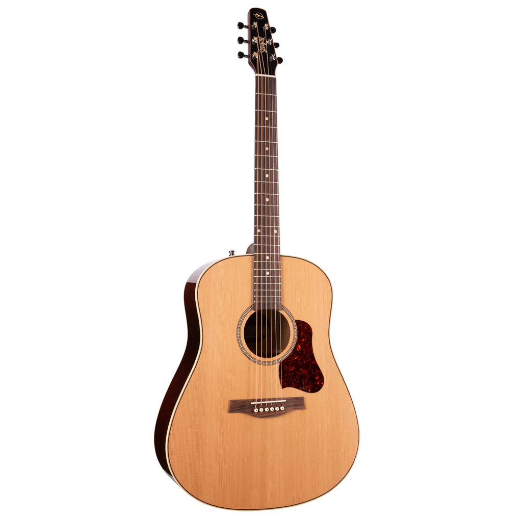 Seagull Coastline Momentum Electro-Acoustic Guitar ~ HG