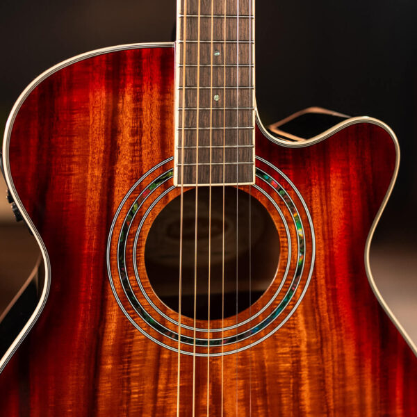 Washburn EA55G Festival Series Mini Jumbo Cutaway - Koa Burst