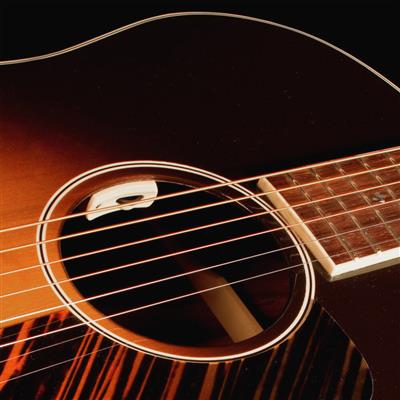 LR Baggs Anthem SL Element/Mic Pickup System