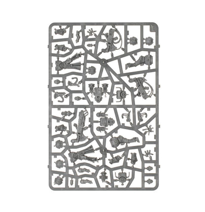 Emperor'S Children Army Set (English)