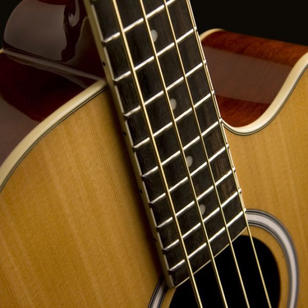 Washburn AB5 Acoustic Bass - Natural