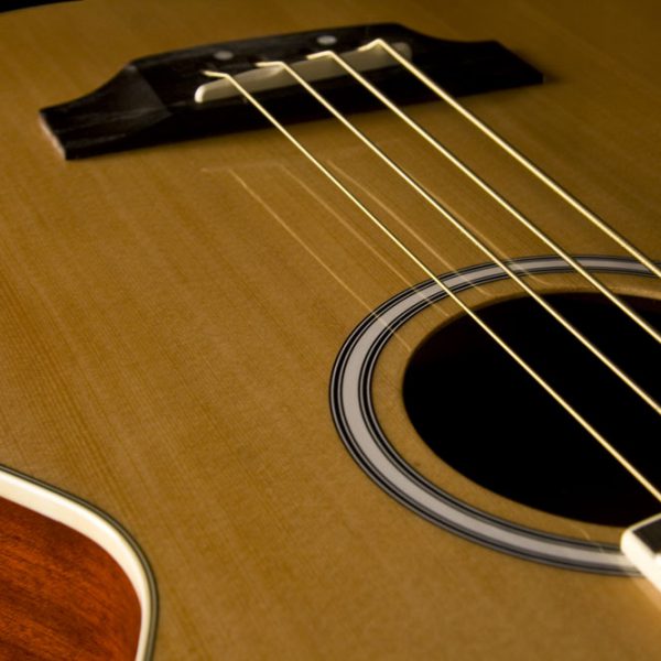 Washburn AB5 Acoustic Bass - Natural