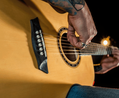 Washburn F5 Folk - Natural