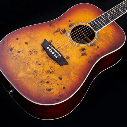 Washburn BURL D Deep Forest Dreadnought - Amber Fade