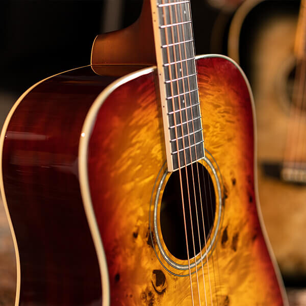 Washburn BURL D Deep Forest Dreadnought - Amber Fade
