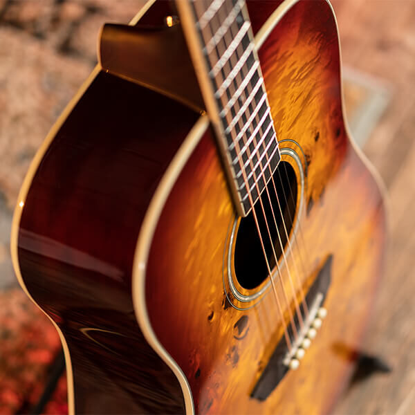 Washburn BURL D Deep Forest Dreadnought - Amber Fade