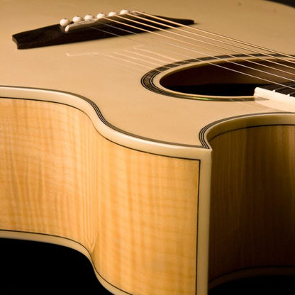 Washburn EA20 Festival Series Cutaway - Natural