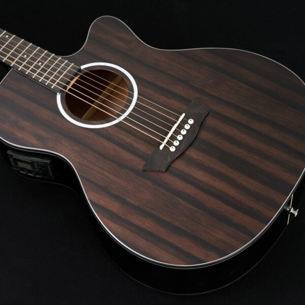 Washburn EBONY ACE Deep Forest Grand Auditorium - Natural Matte