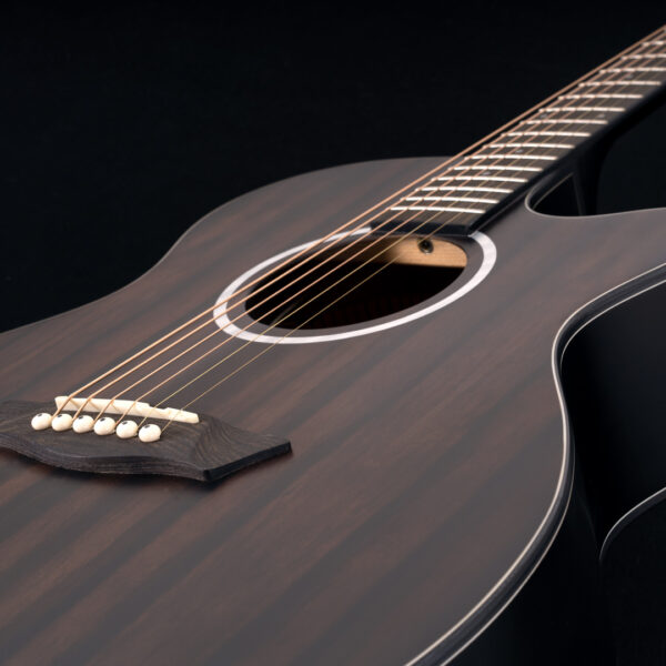 Washburn EBONY ACE Deep Forest Grand Auditorium - Natural Matte