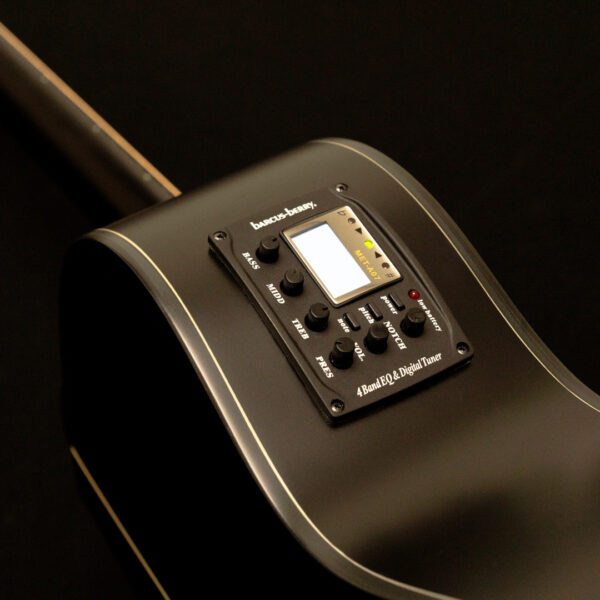 Washburn EBONY ACE Deep Forest Grand Auditorium - Natural Matte