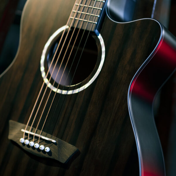Washburn EBONY ACE Deep Forest Grand Auditorium - Natural Matte