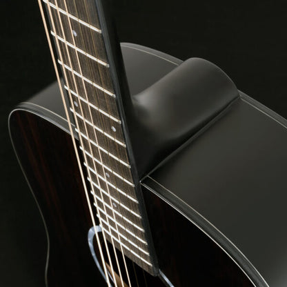 Washburn EBONY D Deep Forest Dreadnought - Natural Matte