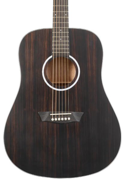 Washburn EBONY D Deep Forest Dreadnought - Natural Matte