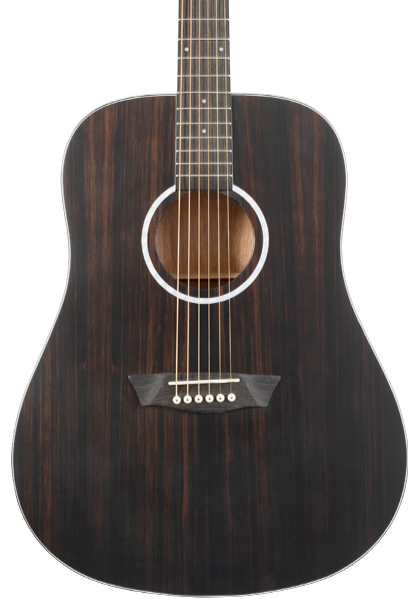 Washburn EBONY D Deep Forest Dreadnought - Natural Matte