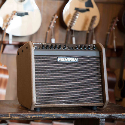 Fishman Loudbox Mini Charge