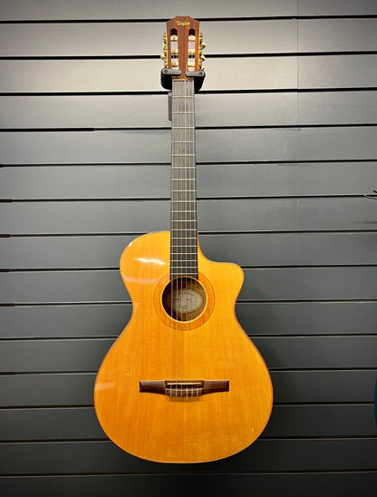Taylor Nylon String
