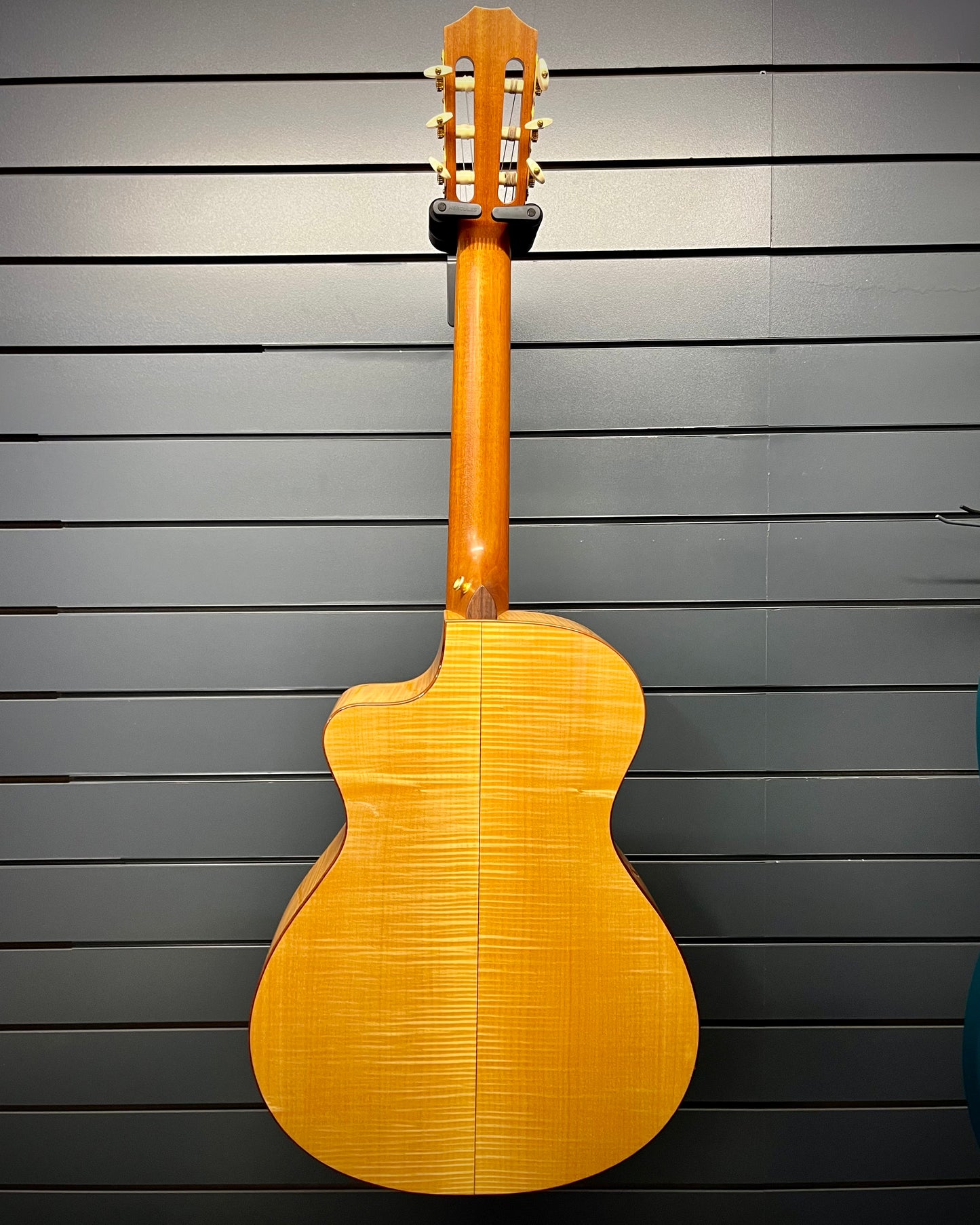 Taylor Nylon String