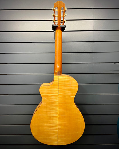 Taylor Nylon String