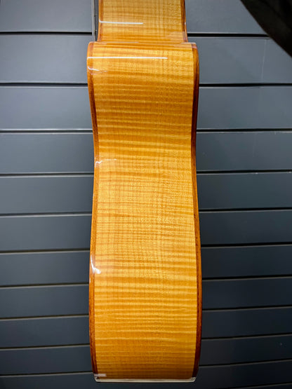 Taylor Nylon String
