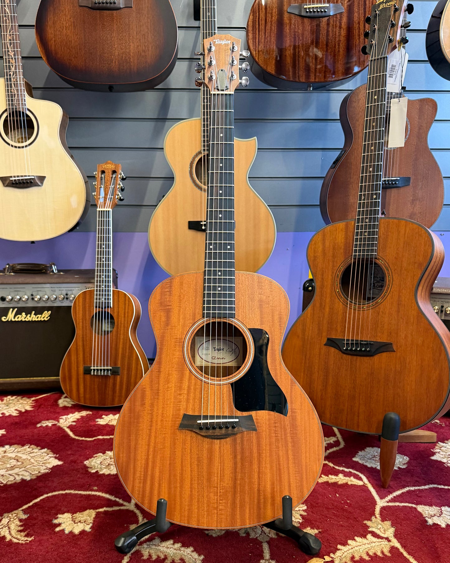 Taylor GS Mini - Mahogany