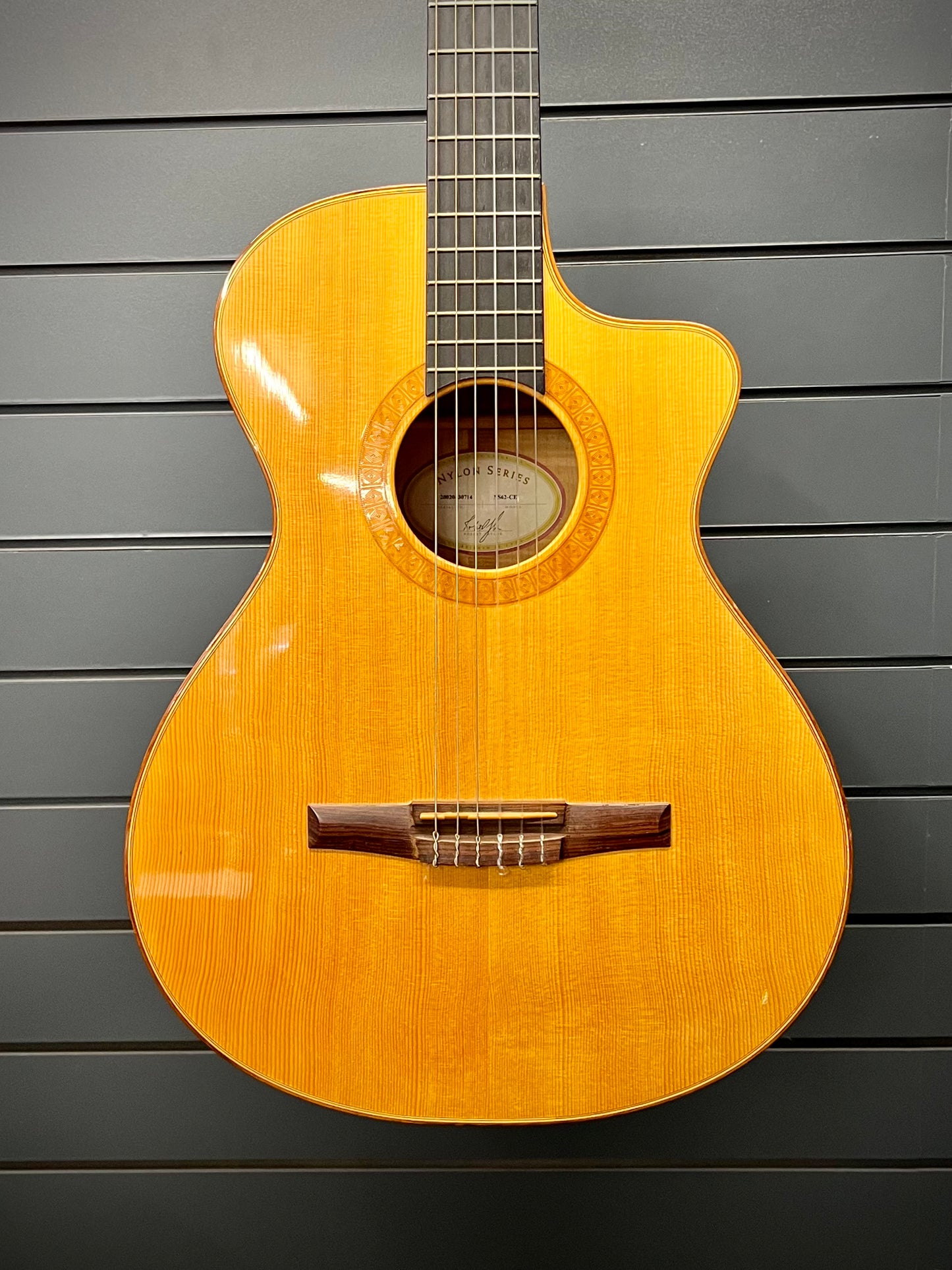 Taylor Nylon String