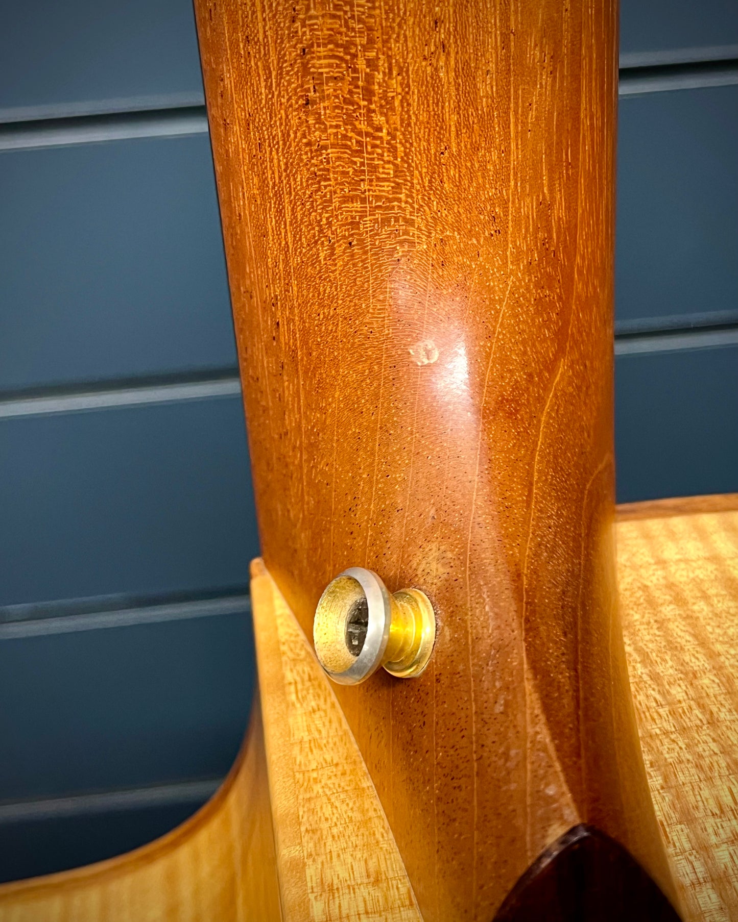 Taylor Nylon String