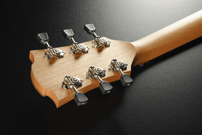 LAG T70D-B&B Tramontane Dreadnought