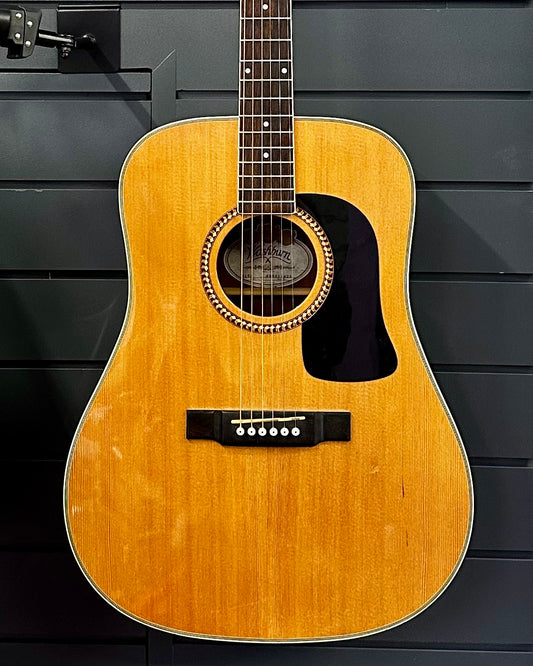 Washburn Acoustic