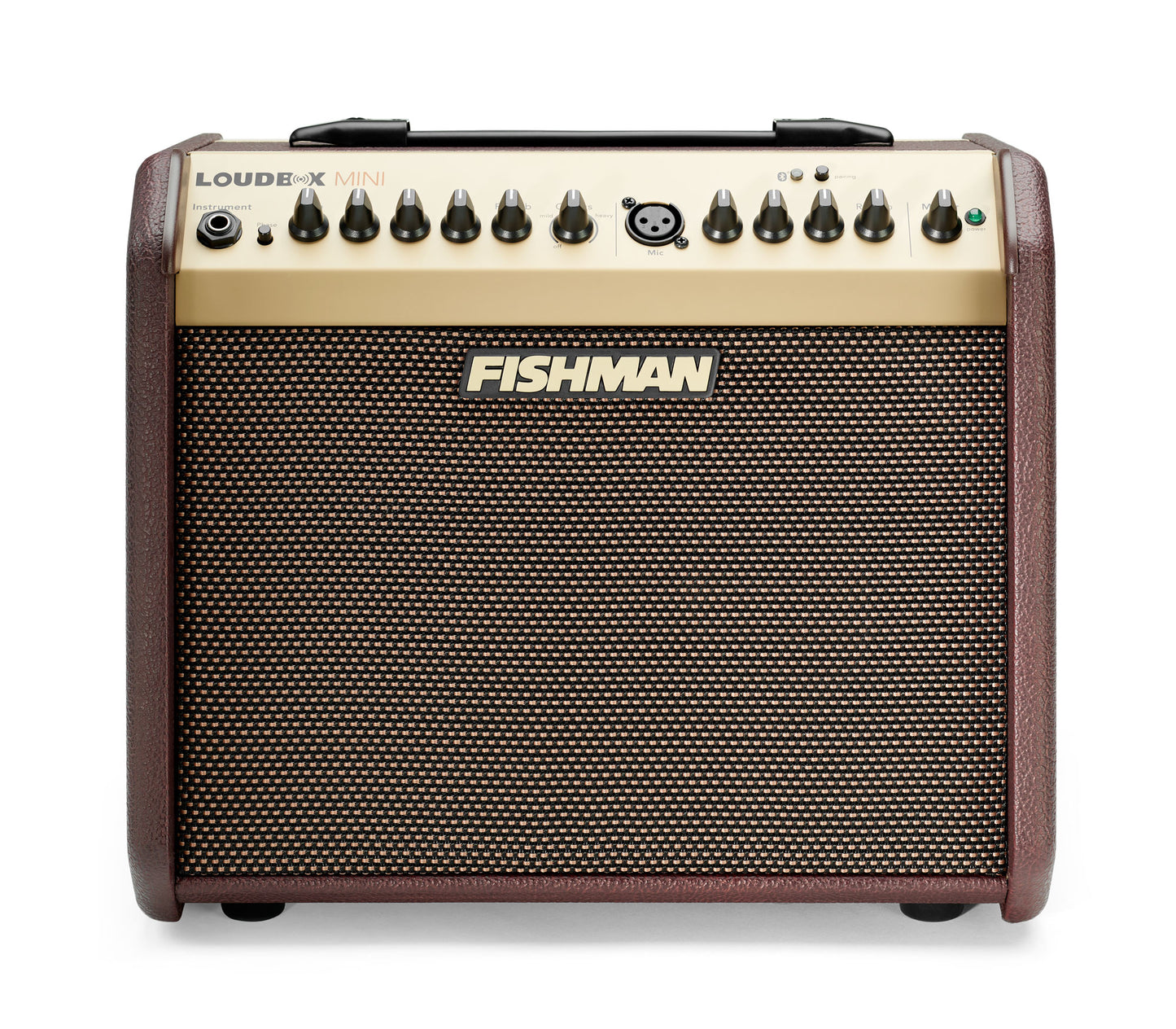 Fishman Loudbox Mini